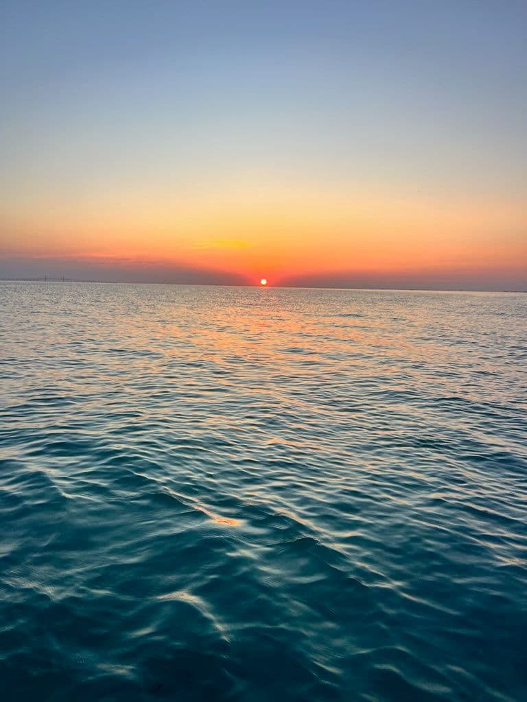 Project Experience Magical Mornings on Anna Maria Island image