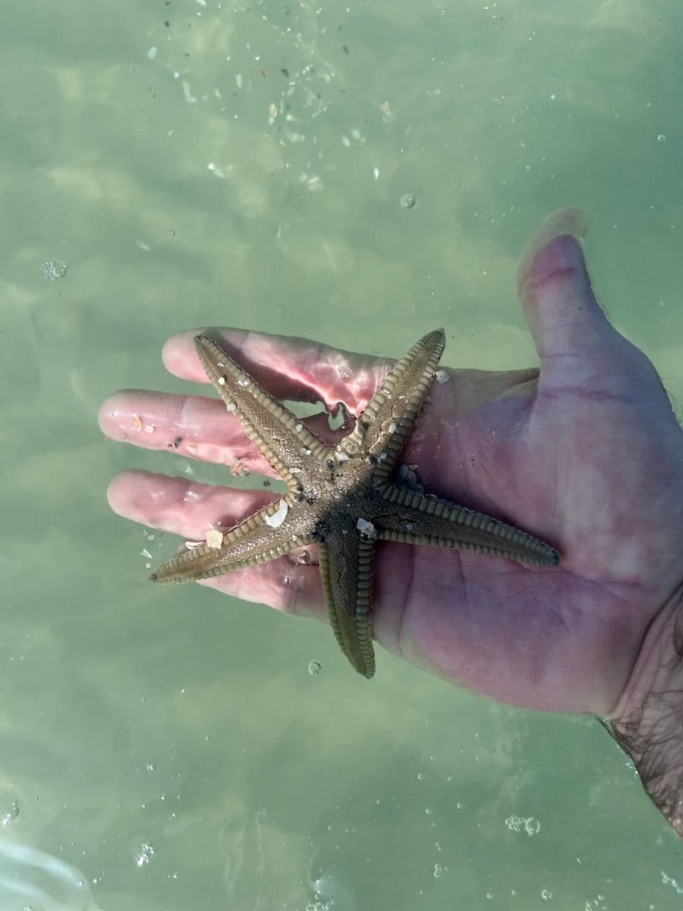 Gallery photos for Discover Hidden Paradises by Boat: Image #1